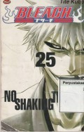 Bleach 25 : No Shaking