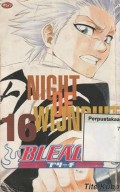 Bleach 16 : Night Of Wijnruit